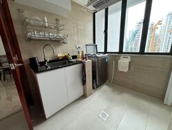 Fortune Jade (D15), Apartment #433000291